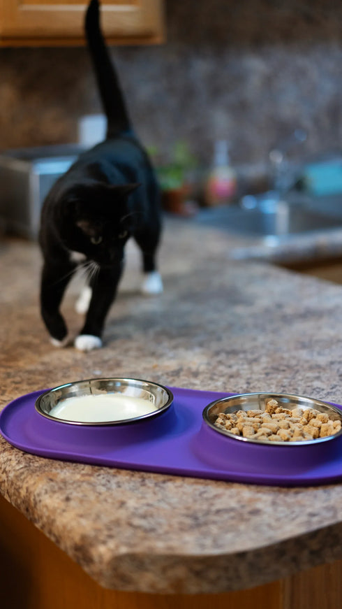 Messy Cats Double Silicon & Stainless Steel Cat Feeder - Purple